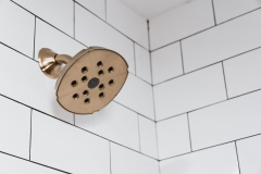 Brushed Gold Fixtures
